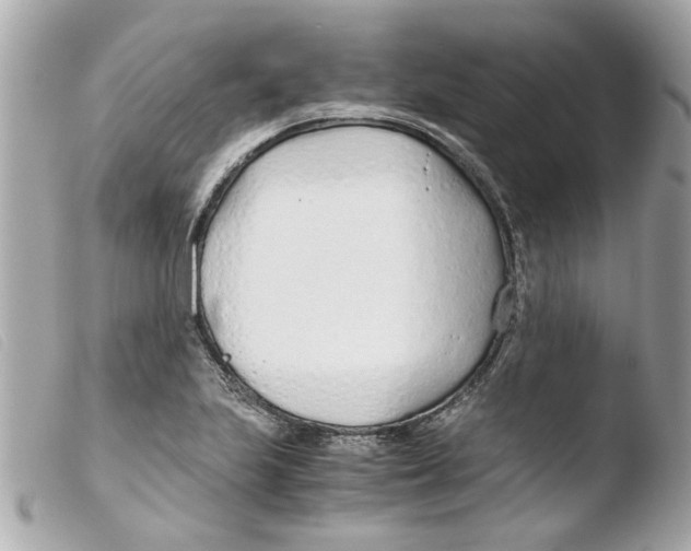 X0000103481223200810100951