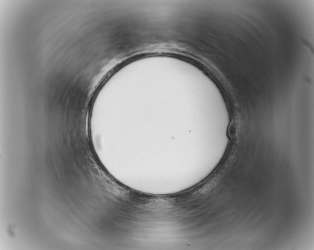 X0000103481224200810100951