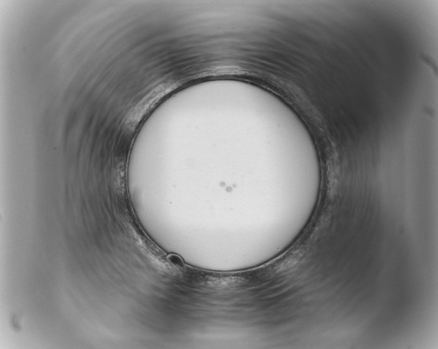 X0000103481225200810100951