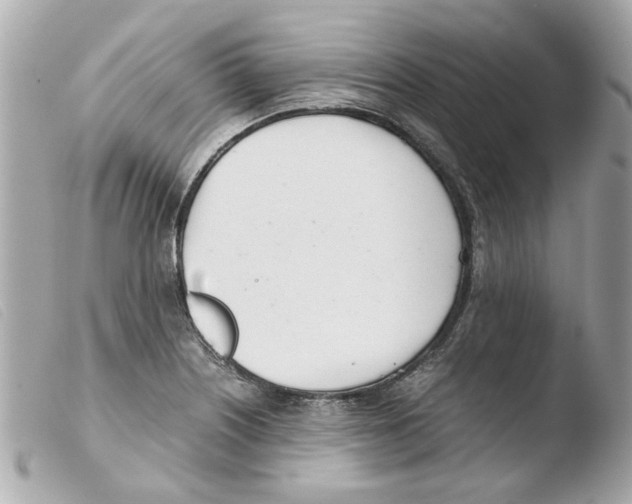 X0000103481226200810100951