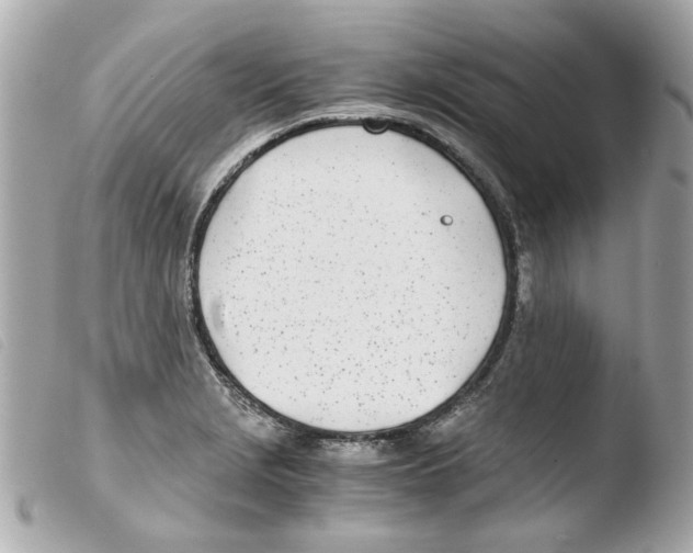 X0000103481229200810100951