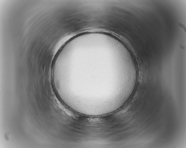 X0000103481231200810100952
