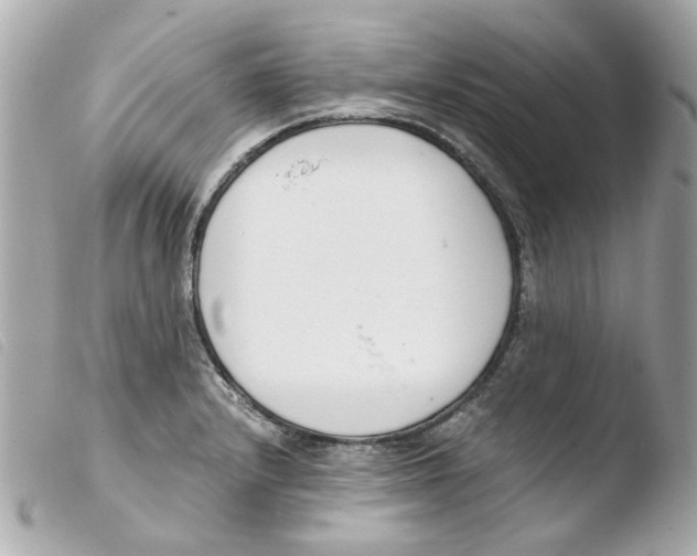 X0000103481232200810100952