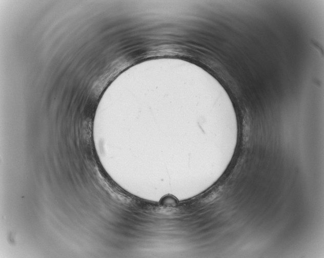 X0000103481233200810100952