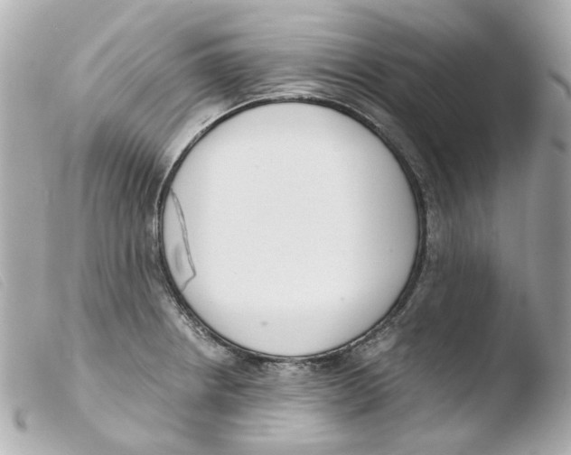 X0000103481234200810100952