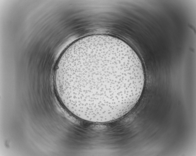 X0000103481235200810100952