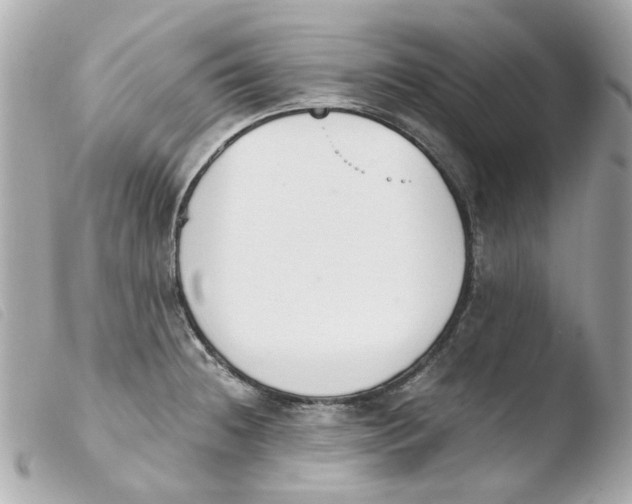 X0000103481236200810100952
