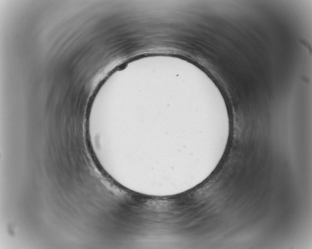 X0000103481237200810100952