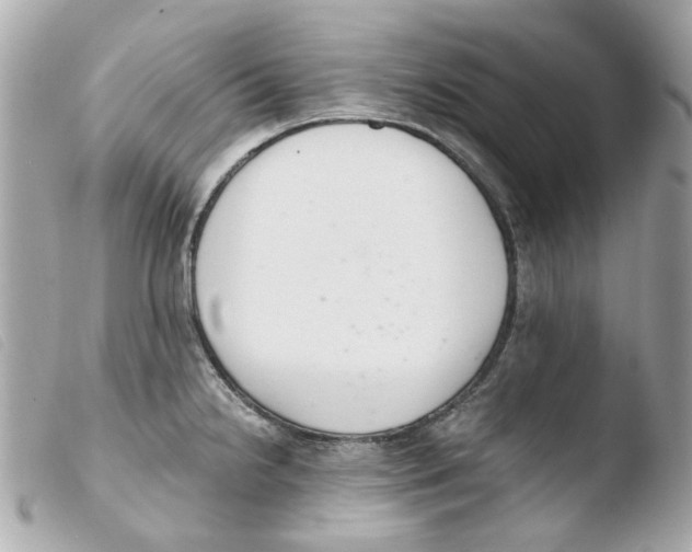 X0000103481238200810100952