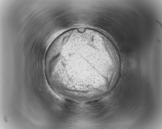 X0000103481239200810100952