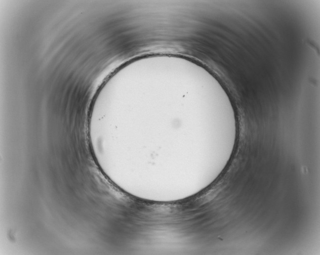 X0000103481240200810100952