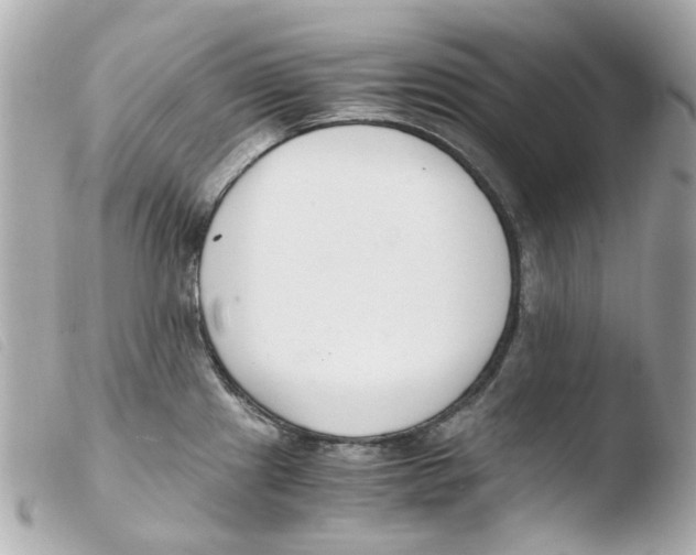 X0000103481241200810100952