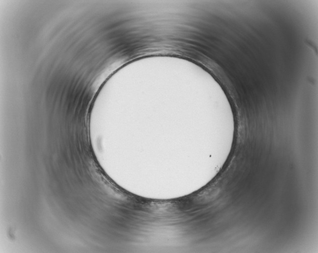 X0000103481242200810100952