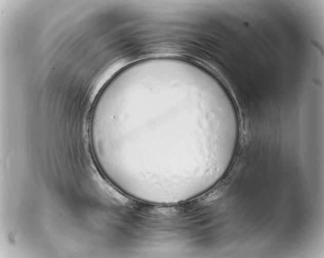 X0000103481243200810100952