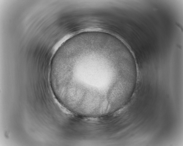 X0000103481245200810100952