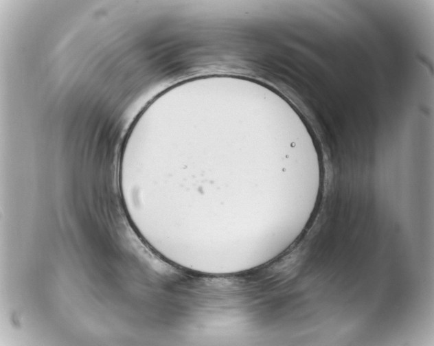 X0000103481246200810100952