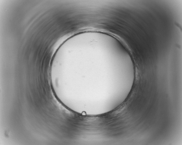 X0000103481247200810100952