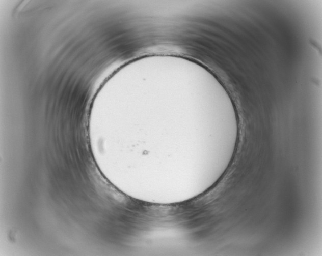 X0000103481248200810100952