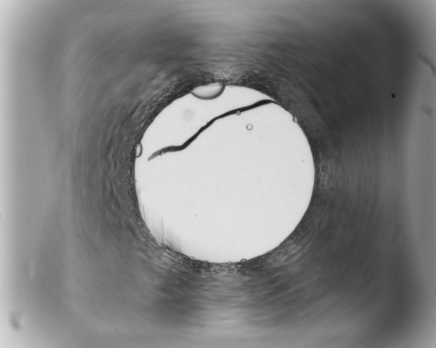 X0000103481249200810100951