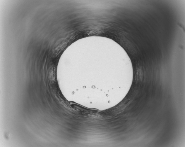 X0000103481250200810100951