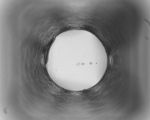 X0000103481251200810100951