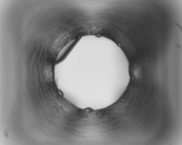 X0000103481252200810100951