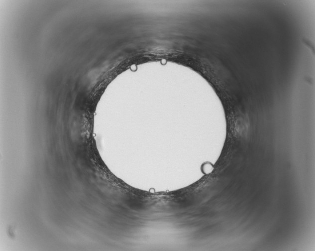 X0000103481253200810100951