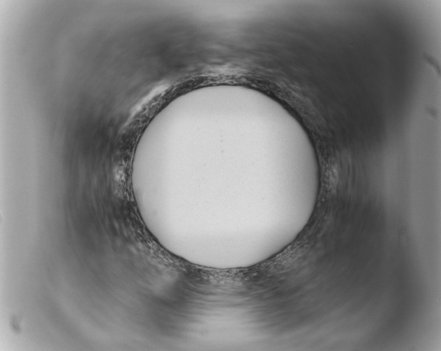 X0000103481254200810100951