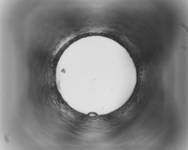 X0000103481256200810100951
