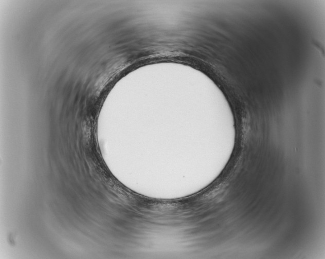X0000103481257200810100951