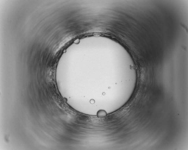 X0000103481258200810100951