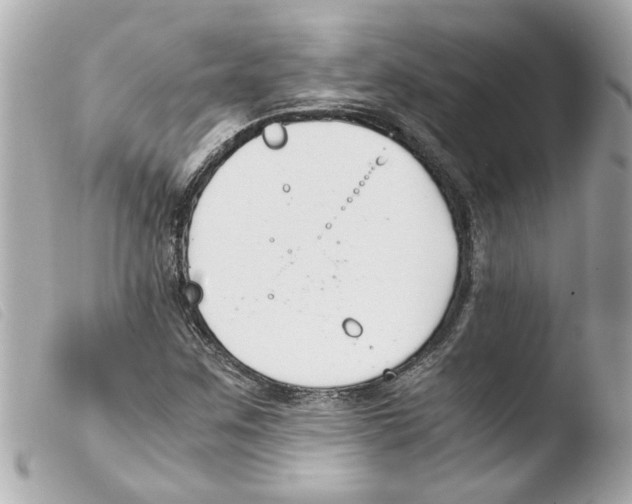 X0000103481259200810100951