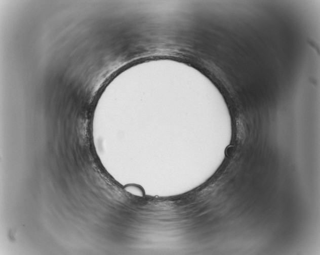 X0000103481260200810100951