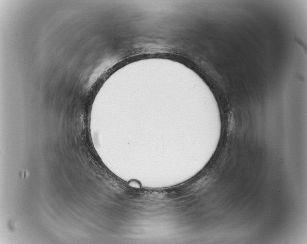 X0000103481261200810100951