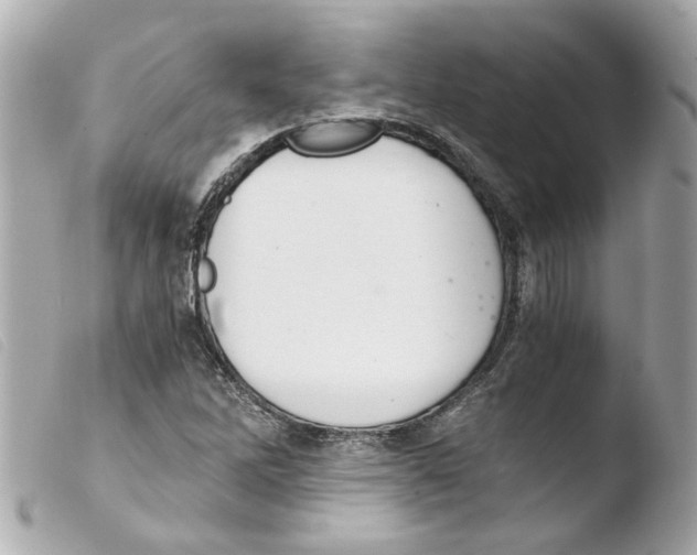 X0000103481262200810100951