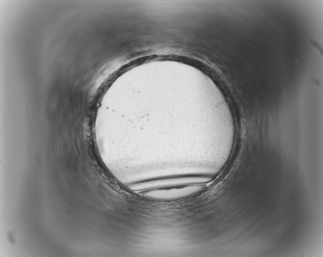 X0000103481263200810100951