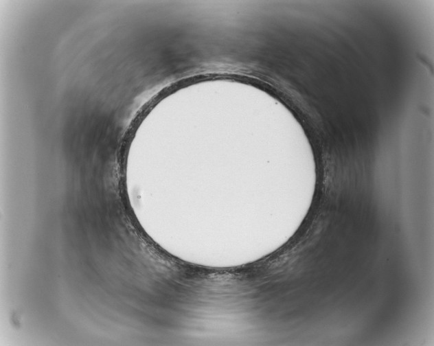 X0000103481264200810100951