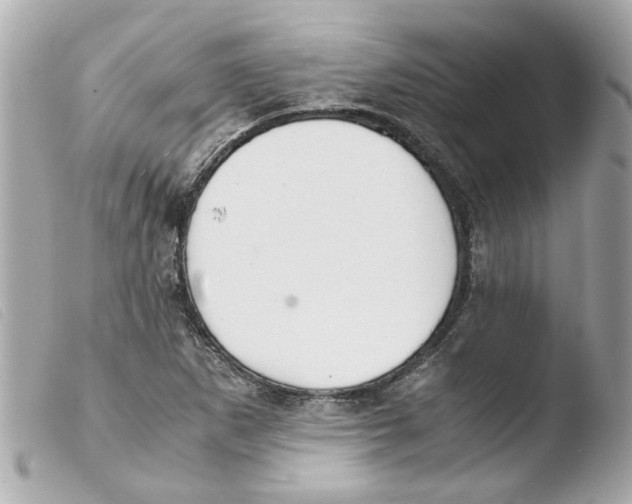 X0000103481265200810100951
