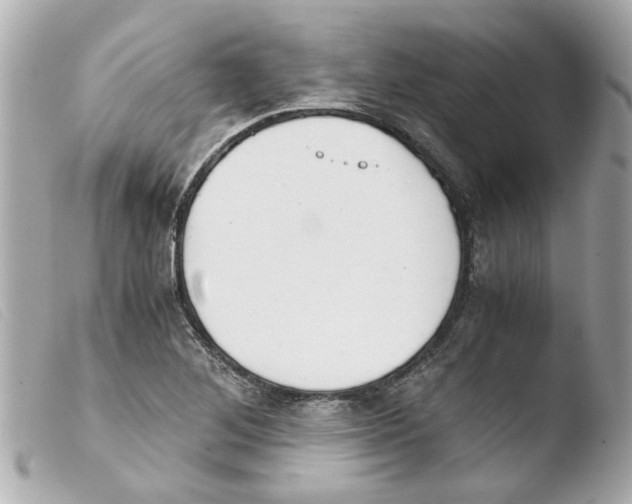 X0000103481268200810100951