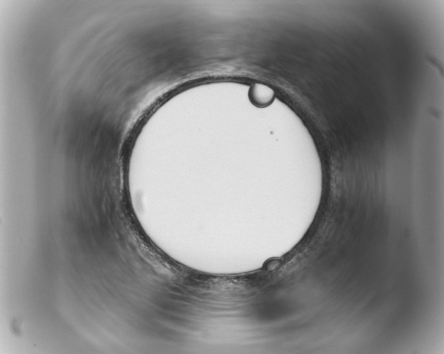 X0000103481270200810100951