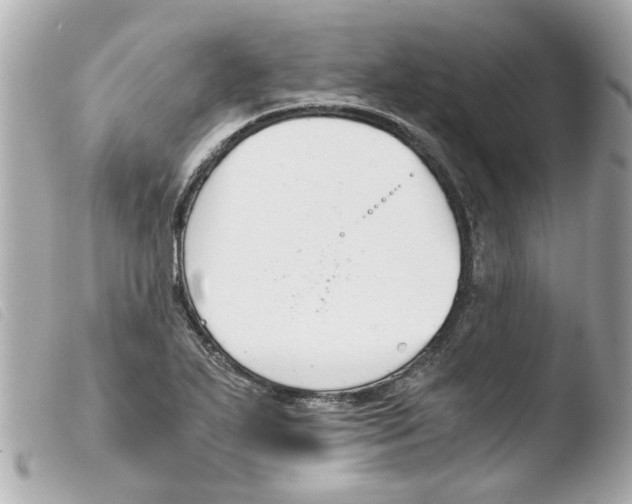 X0000103481271200810100951