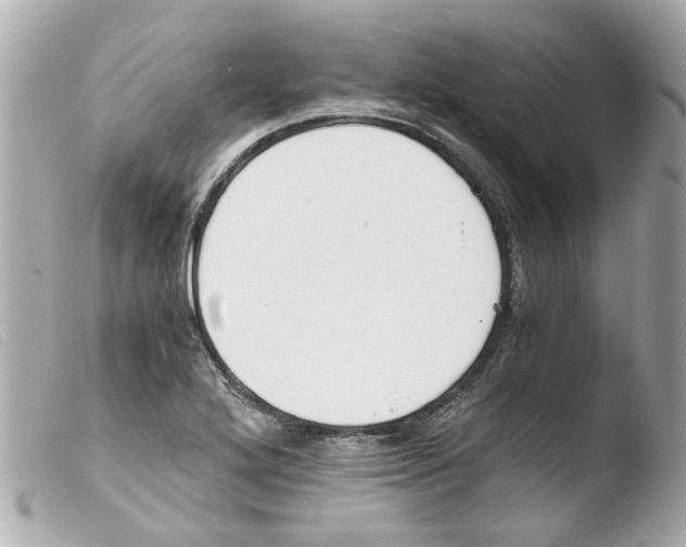 X0000103481272200810100951