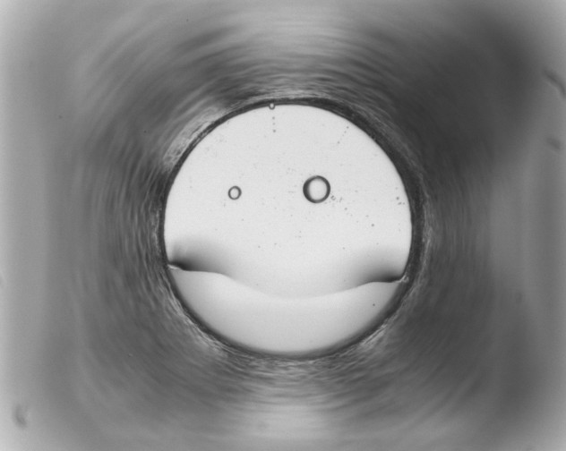 X0000103481273200810100951
