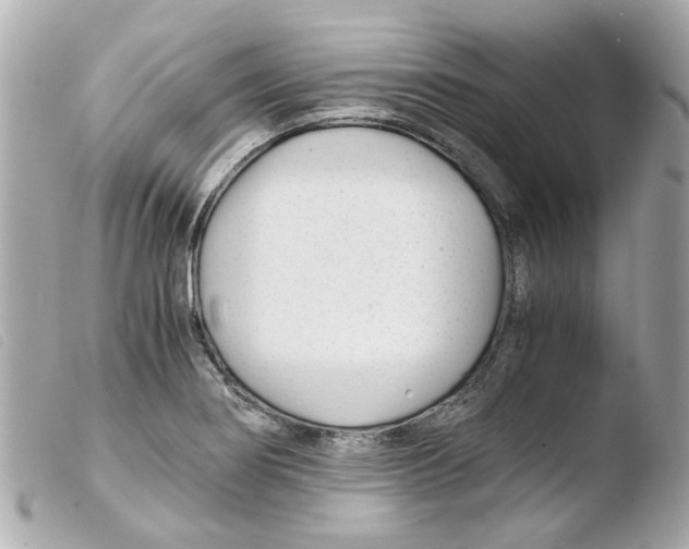 X0000103481274200810100951