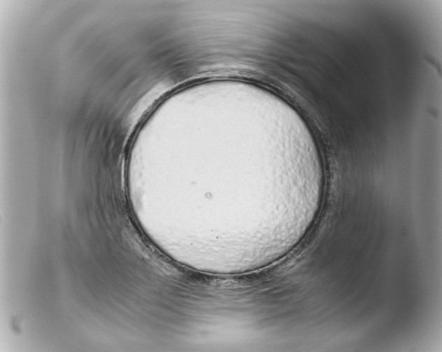 X0000103481275200810100951