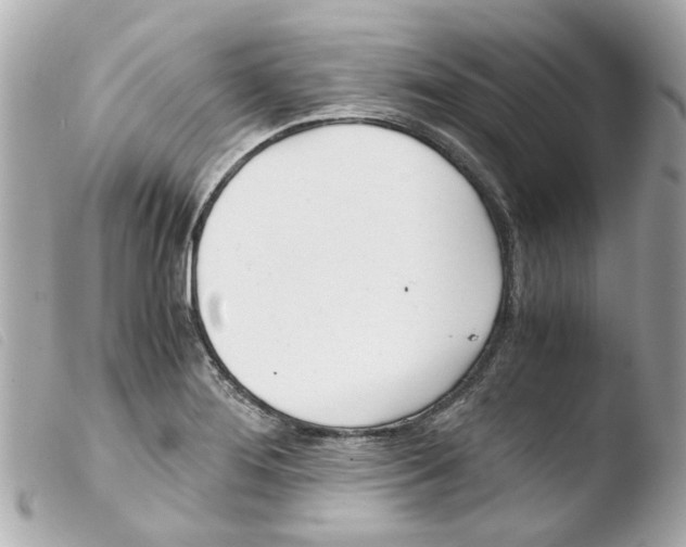 X0000103481276200810100951