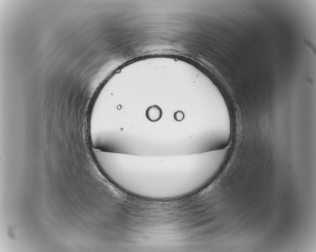 X0000103481277200810100951
