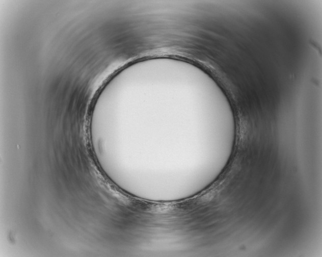 X0000103481278200810100951