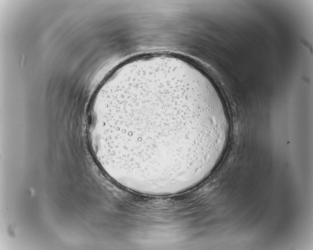 X0000103481279200810100951