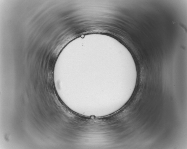 X0000103481281200810100951